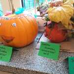Zdjęcie WhatsApp 2023-10-23 o 13.36.16_dc24bd69.jpg