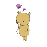 bear-3334899_1280.png