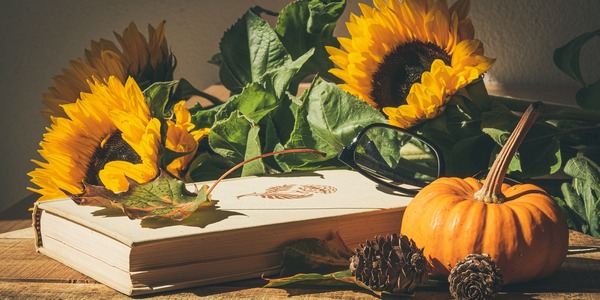 pumpkins-4572707_1280.jpg