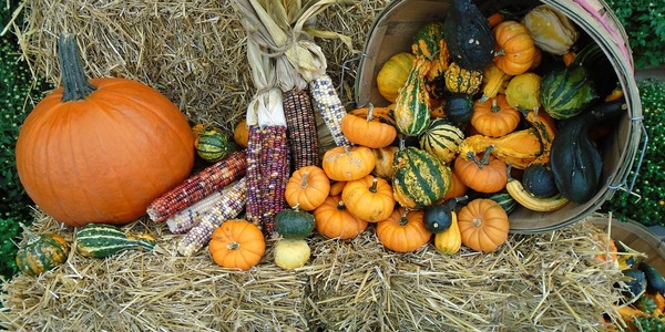 fall-2141847_1280.jpg