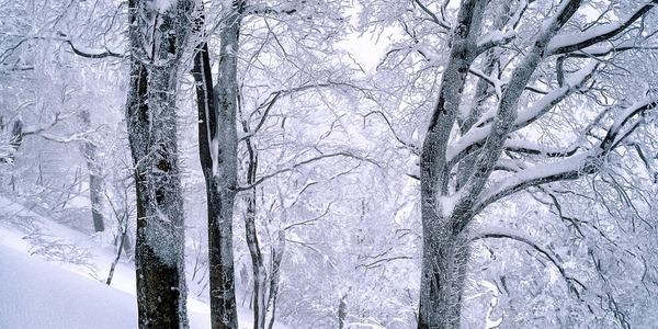 snow-2221767_1280.jpg