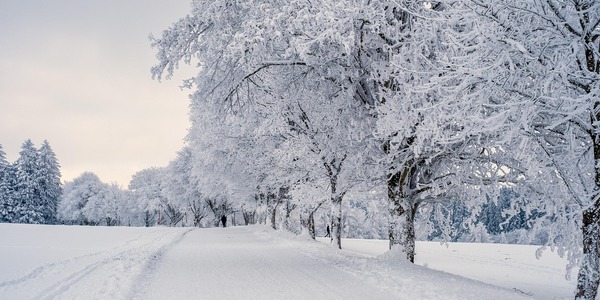 nickype-snow-7646952_1280.jpg