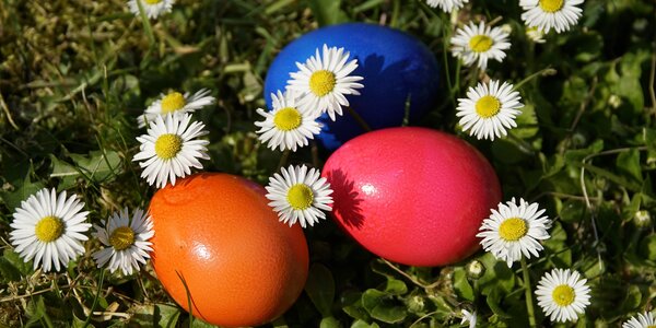 jhenning-easter-5017830.jpg